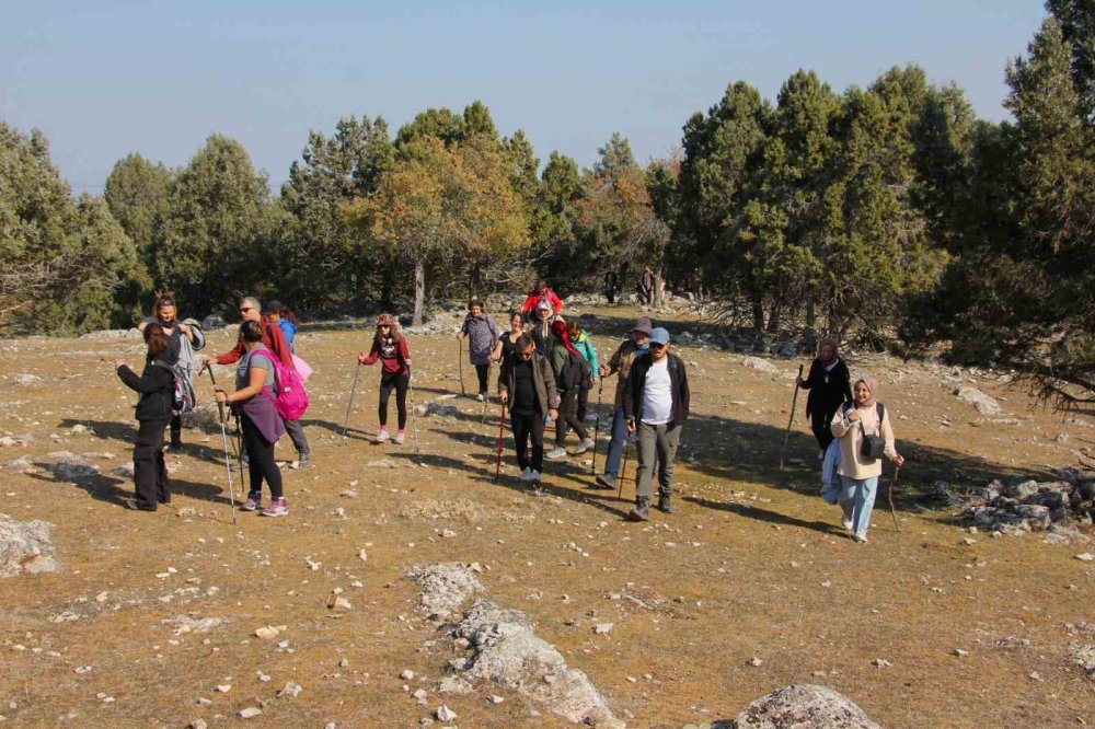 Beyşehir Gölündeki Hacıakif Adası doğa tutkunlarının ilgi odağı