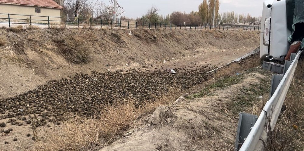 Konya'da yürek yakan kaza! Kamyon şoförü hayatını kaybetti