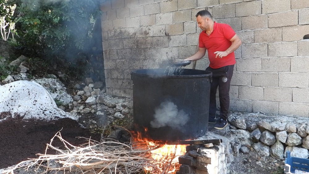 Doğada kendiliğinden yetişiyor, yağının litresi 400 liraya satılıyor