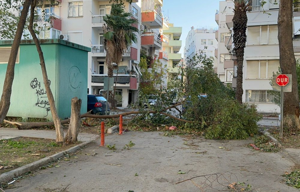 Fırtına ağaçları devirdi, seraları yıktı