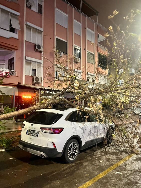 Fırtına ağaçları devirdi, seraları yıktı