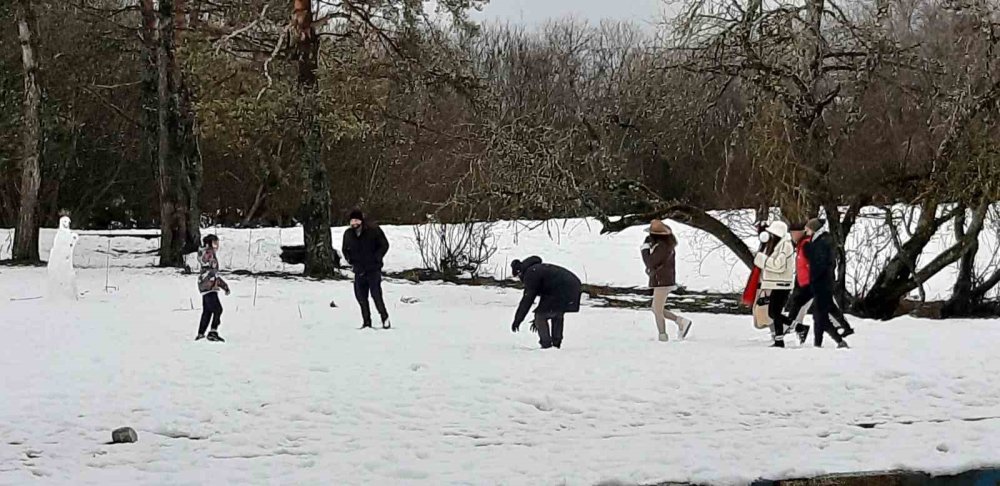 Türkiye'nin ünlü parkında kar yağışı başladı