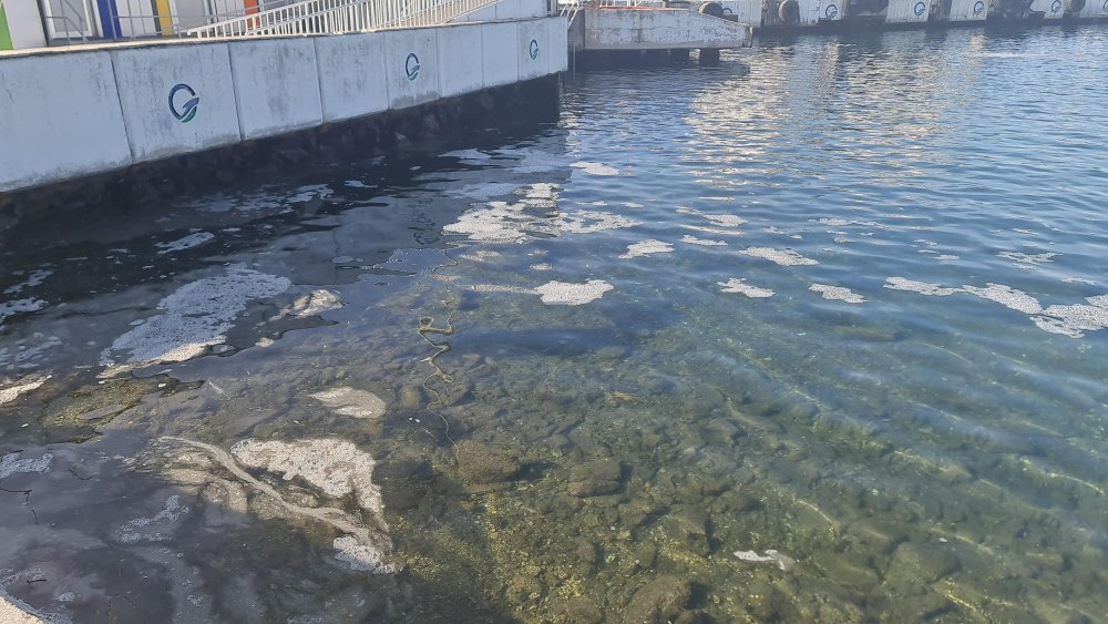 Çanakkale Boğazı'nda endişelendiren görüntü