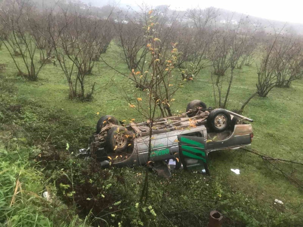 Kontrolden çıkan kamyonet tarlaya devrildi: 5 yaralı