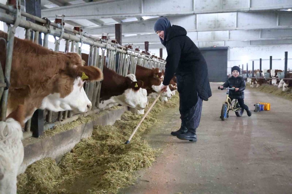 Avrupa'da böyle bir destek yok! Türkiye'ye dönüp çiftlik kurdu, tonlarca üretim yapıyor