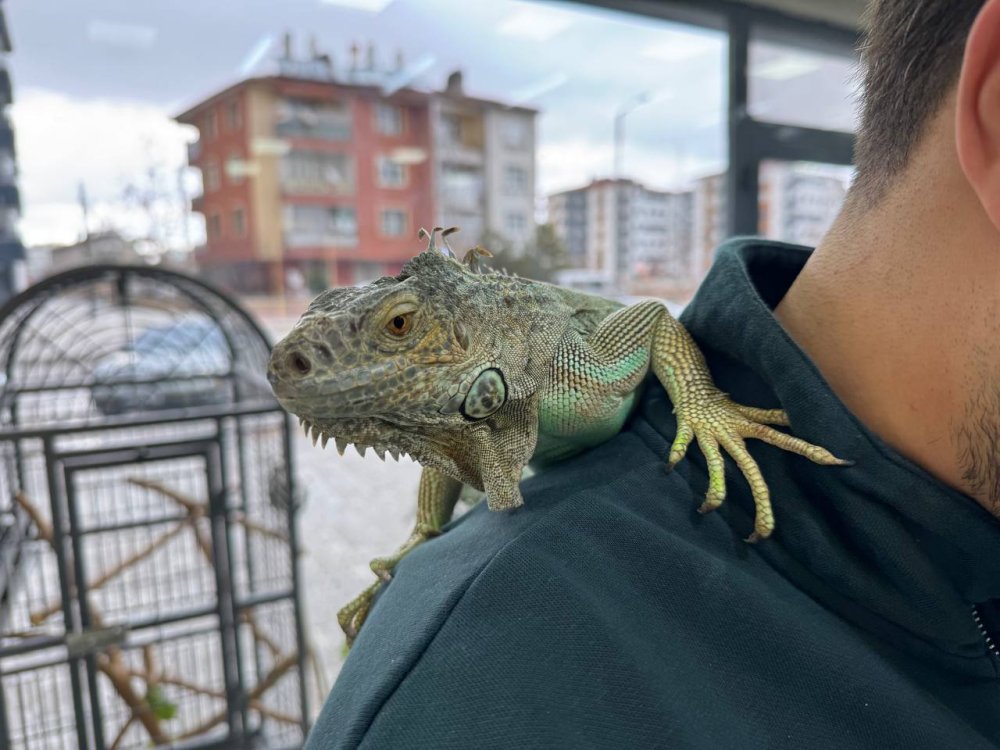 Bu kuaför başka... Konya'nın diğer ucundan onun için geliyorlar!