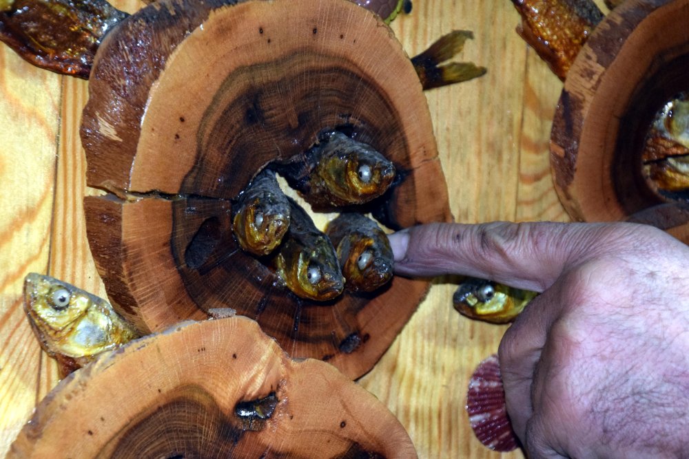 Ölü balıklar tabloya dönüştürüyor