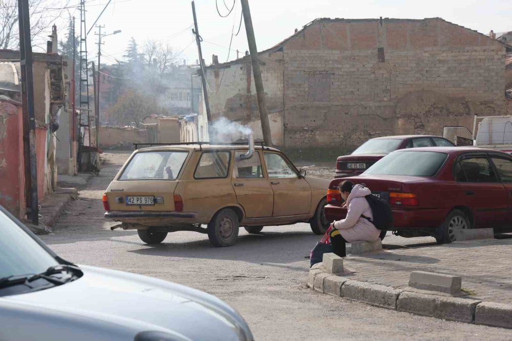 Konya'da benzeri olmayan "gezen tavuklar"