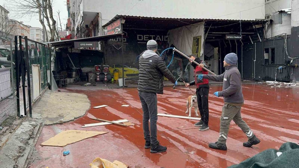 Pitbull sahibine saldırdı!