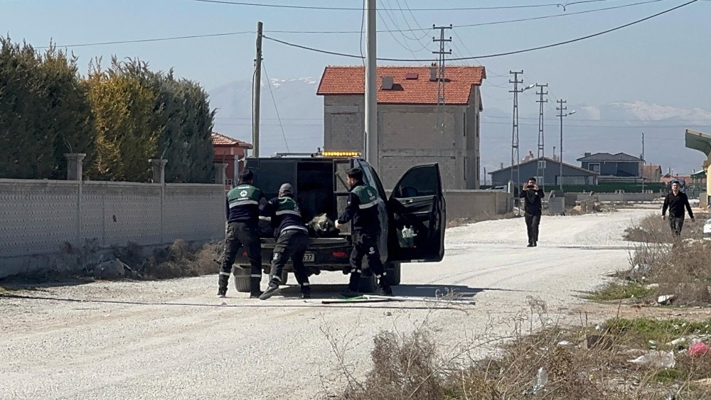 Türkiye gündemine oturan Rana'nın ölümü sonrası Konya'dan son gelişmeler!