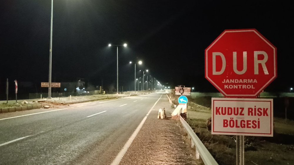 Köpek kuduz çıktı! Belde 6 ay süreyle karantinaya alındı