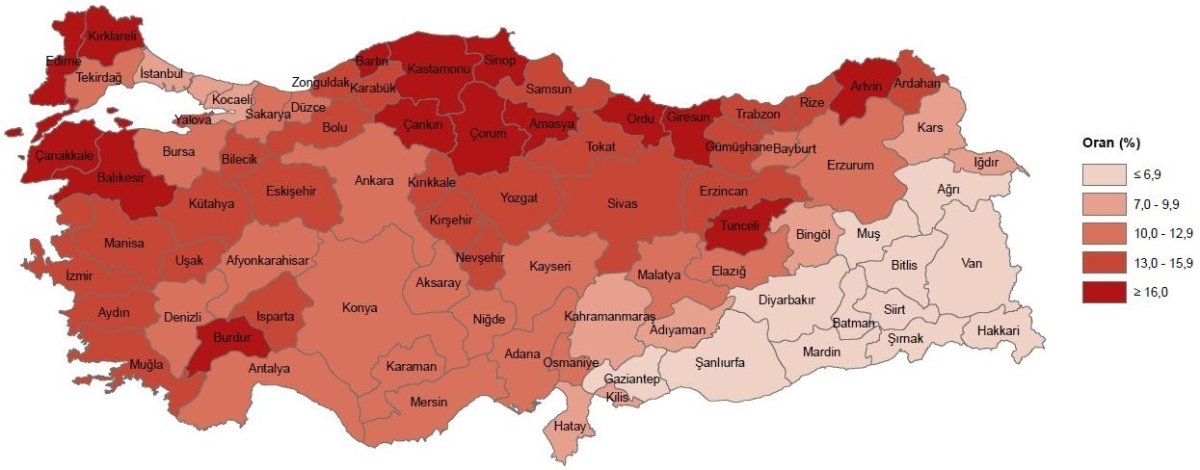 llere-gore-yasli-nufus-orani-2024.jpg