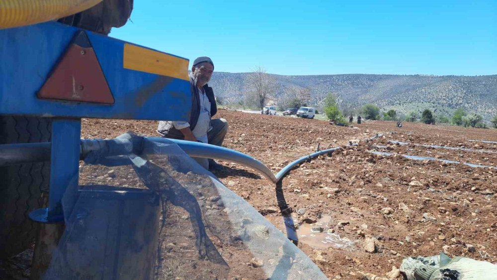 Konya'da dikim başladı... Kuraklığa dayanıklı, tamamen doğal