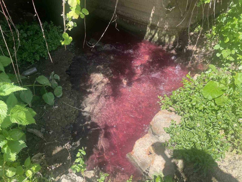 Turşu sulu renkli dereye çiftçiler tepkili