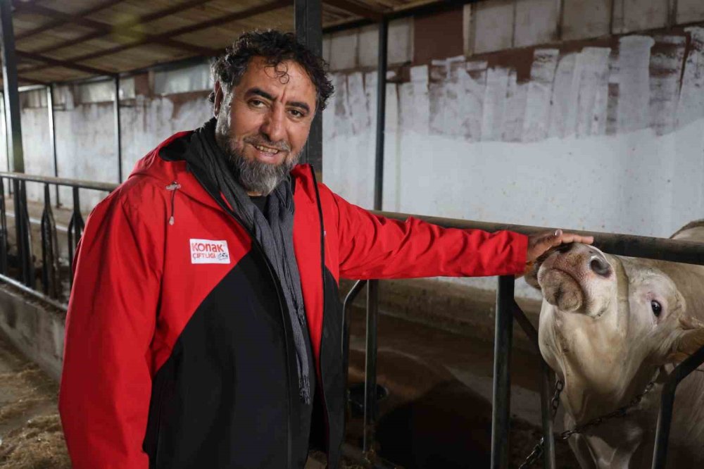 Konyalıların bu yıl kurbanlıkta tercihi belli oldu