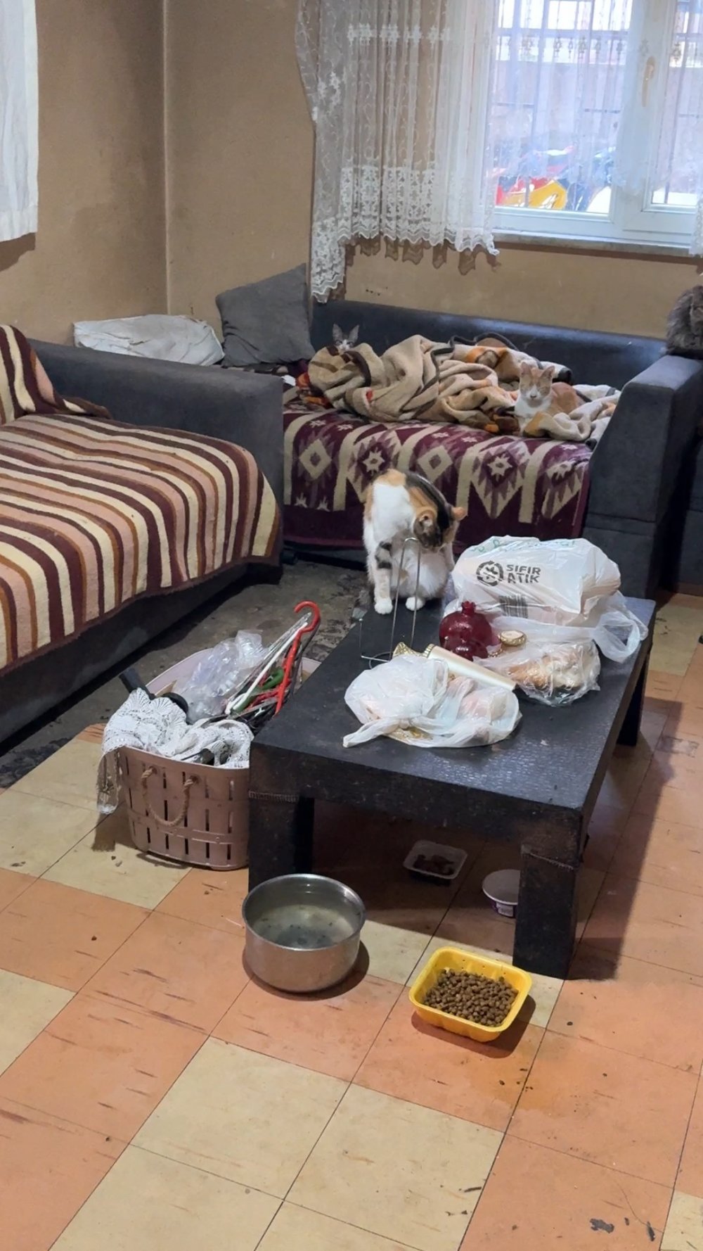 'Çöp ev' ihbarı: Kötü kokunun nedeni ortaya çıktı