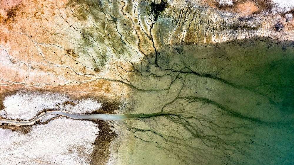 Konya’nın içme suyu tehlikede! Alarm veriyor