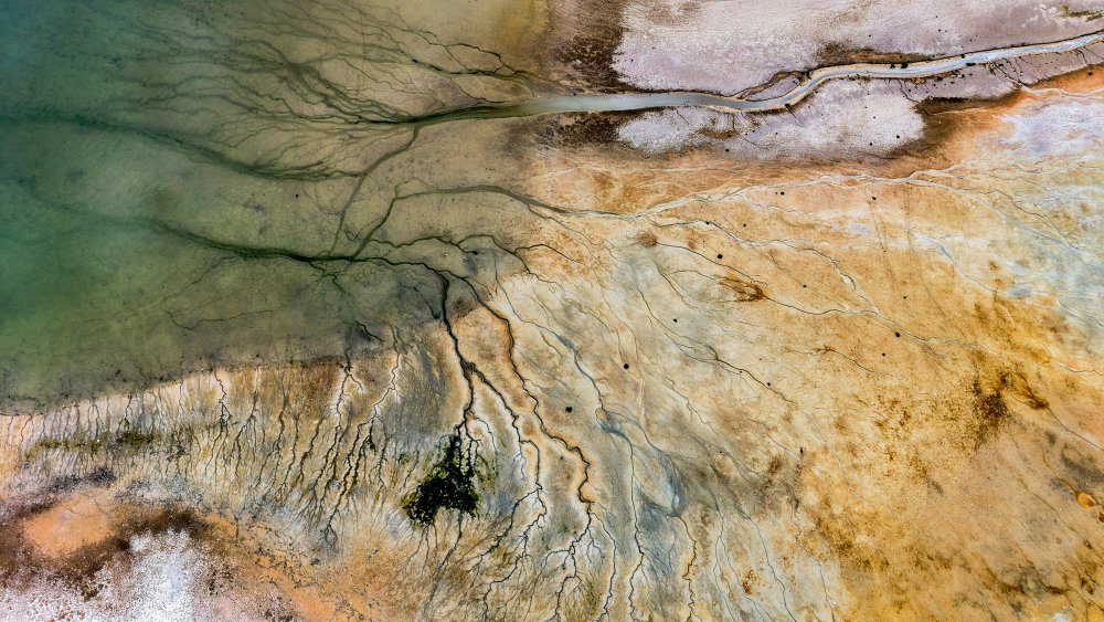 Konya’nın içme suyu tehlikede! Alarm veriyor