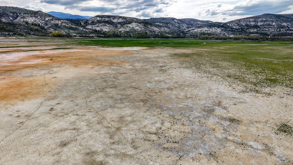 Konya’nın içme suyu tehlikede! Alarm veriyor