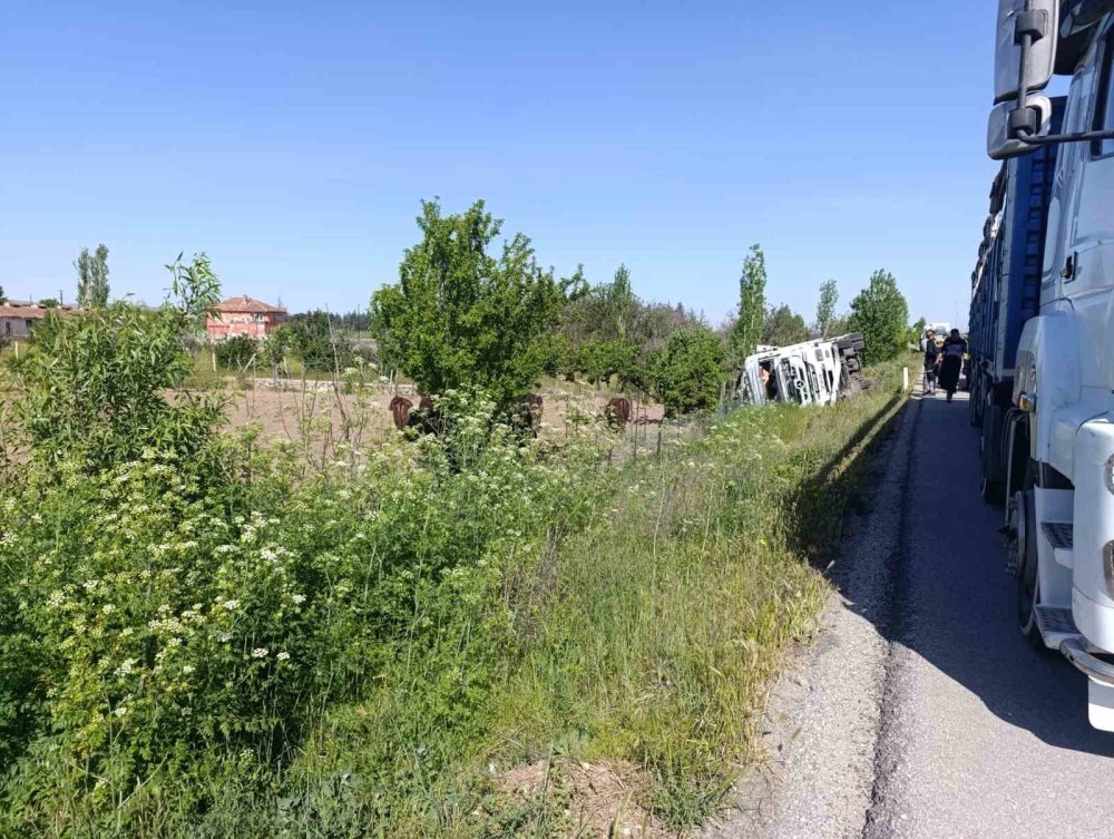 Angus yüklü tır devrildi, 1 kişi yaralandı