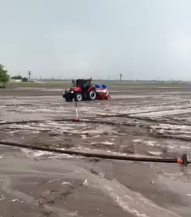 Dolu, ekili alanlara zarar verdi