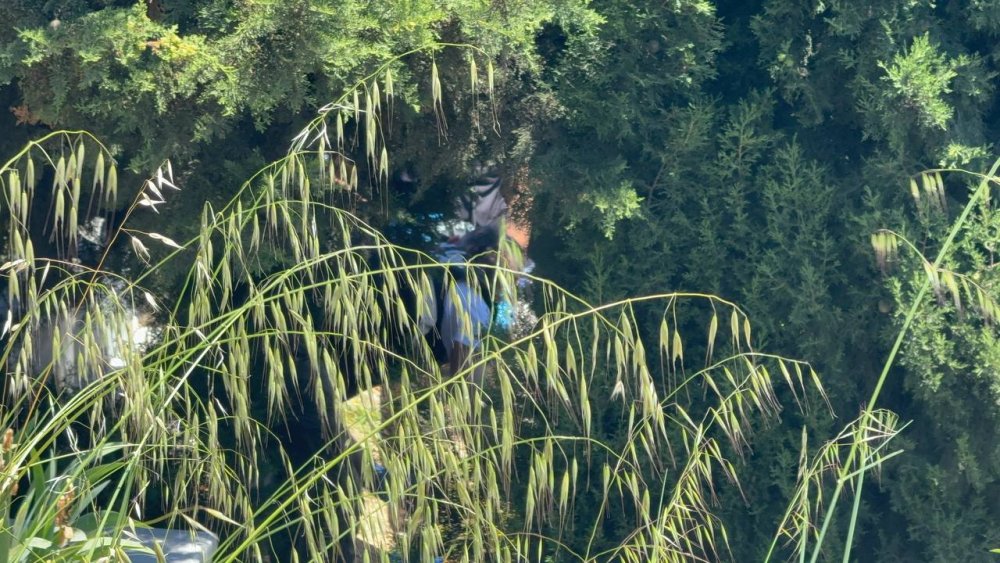 Mezarlıkta erkek bebek cesedi bulundu