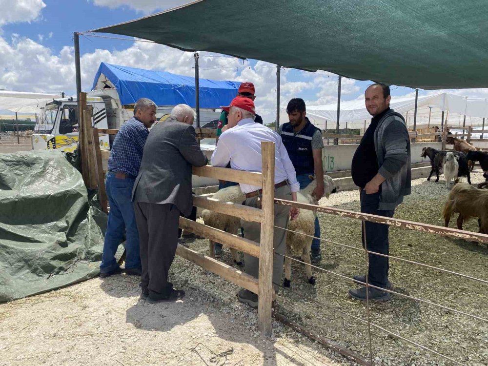 Bayram öncesi piyasa sakin... Konya’da kurban fiyatlarında son durum!