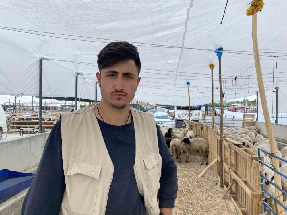 Bayram öncesi piyasa sakin... Konya’da kurban fiyatlarında son durum!