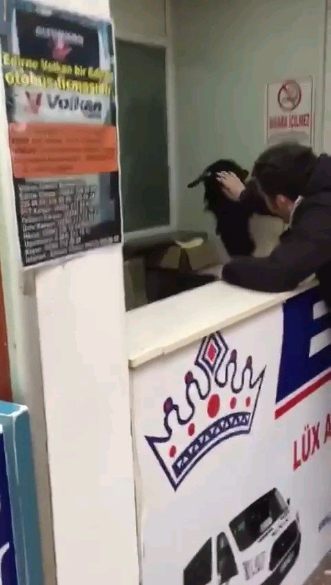 Otogara giren inatçı keçi çekmeceden paraları alıp gitti