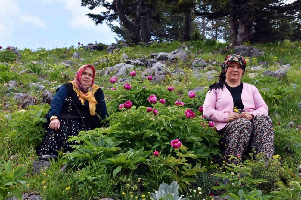 Koparmanın cezası yarım milyon!