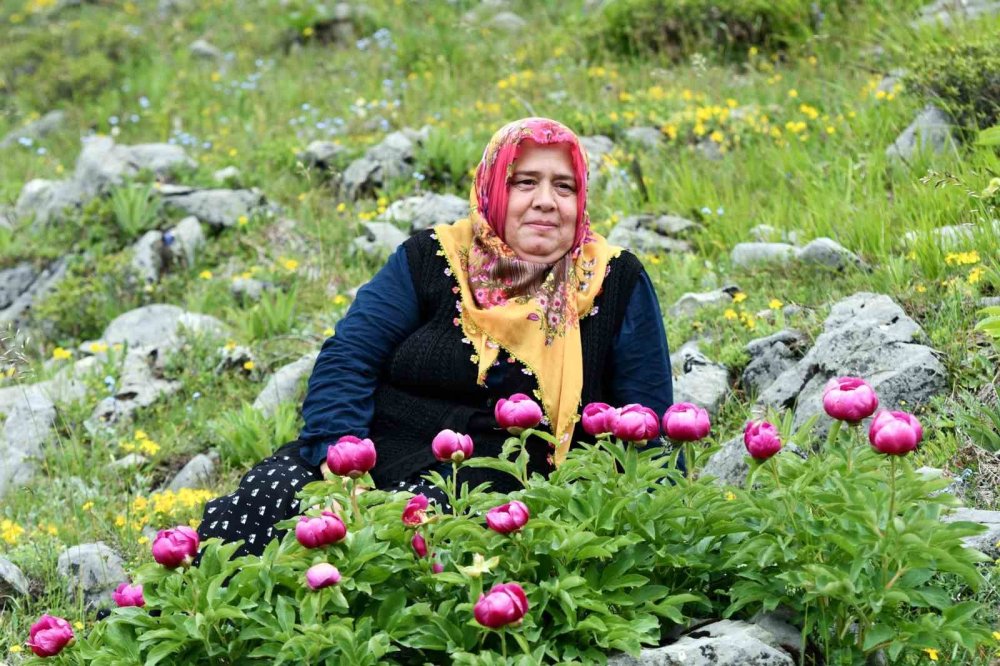 Koparmanın cezası yarım milyon!