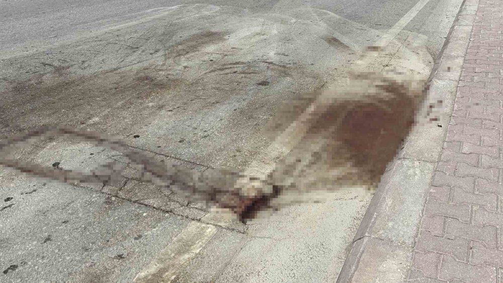 Konya merkezde otomobilin çarptığı bisikletli hayatını kaybetti