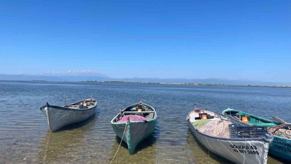 Beyşehir Gölünde ağlara vurdu... Tam 17 kilo!