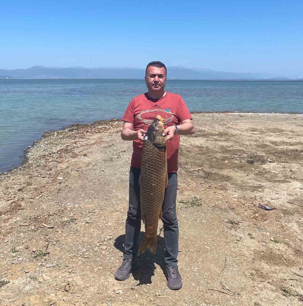 Beyşehir Gölünde ağlara vurdu... Tam 17 kilo!