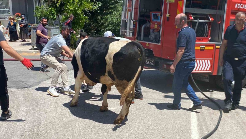 Önce otları, sonra ahırı yaktı