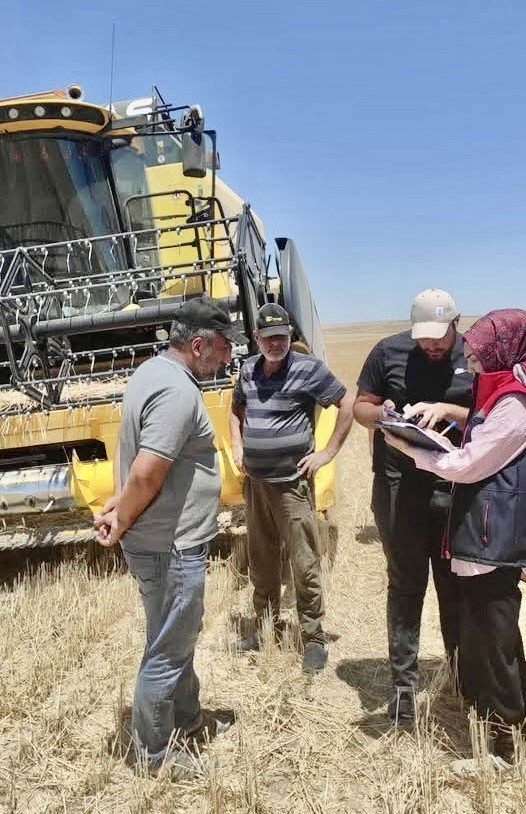 Konya'da hasat zamanı... Biçerdöver denetimleri sıklaştı!