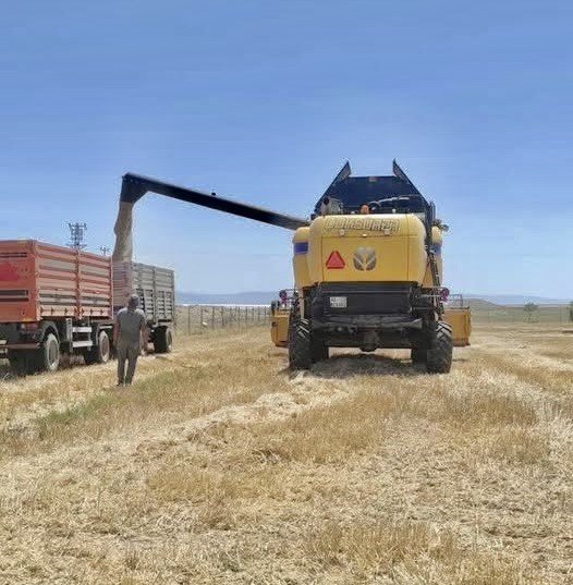 Konya'da hasat zamanı... Biçerdöver denetimleri sıklaştı!