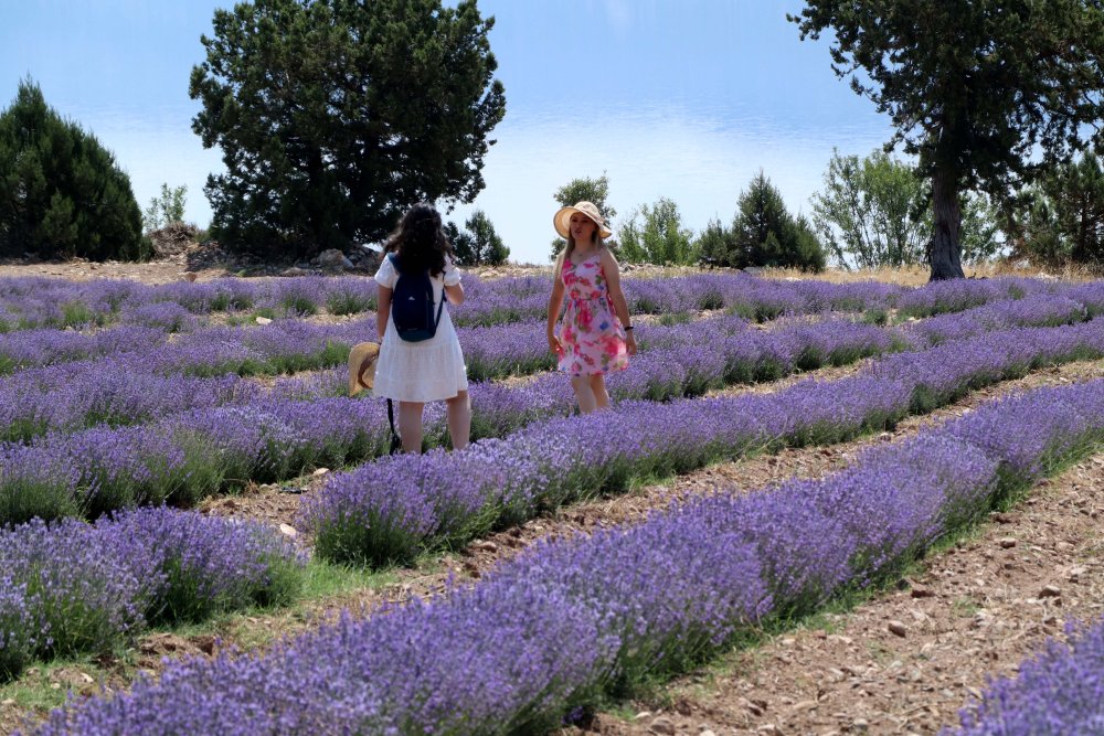 Yeni trend 'tarım turizmi'