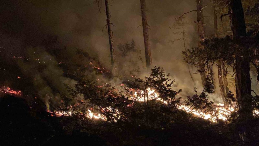 Bolu’daki orman yangını büyüyor: Karadan müdahale sürüyor