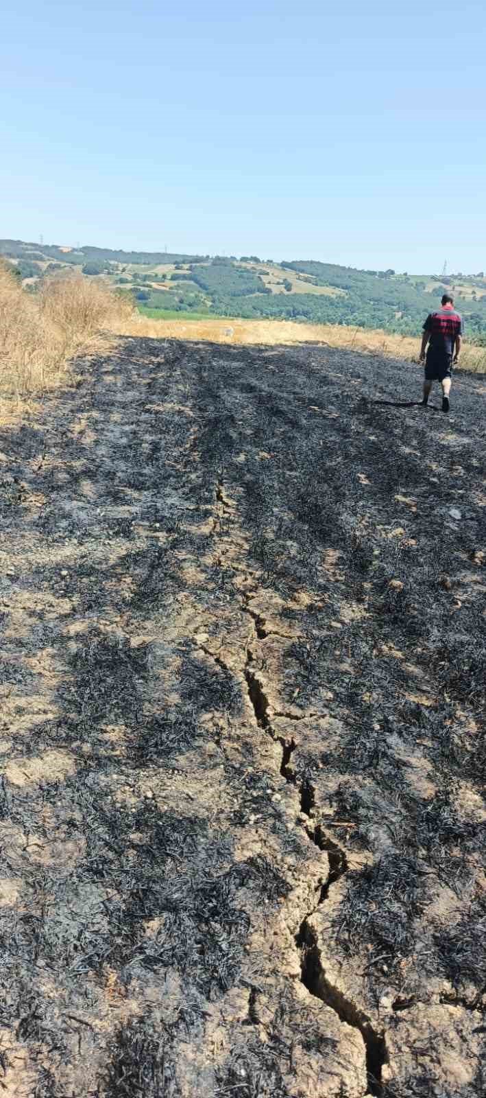Sakarya'daki yangına çiftçiler traktörleriyle set oluşturdu