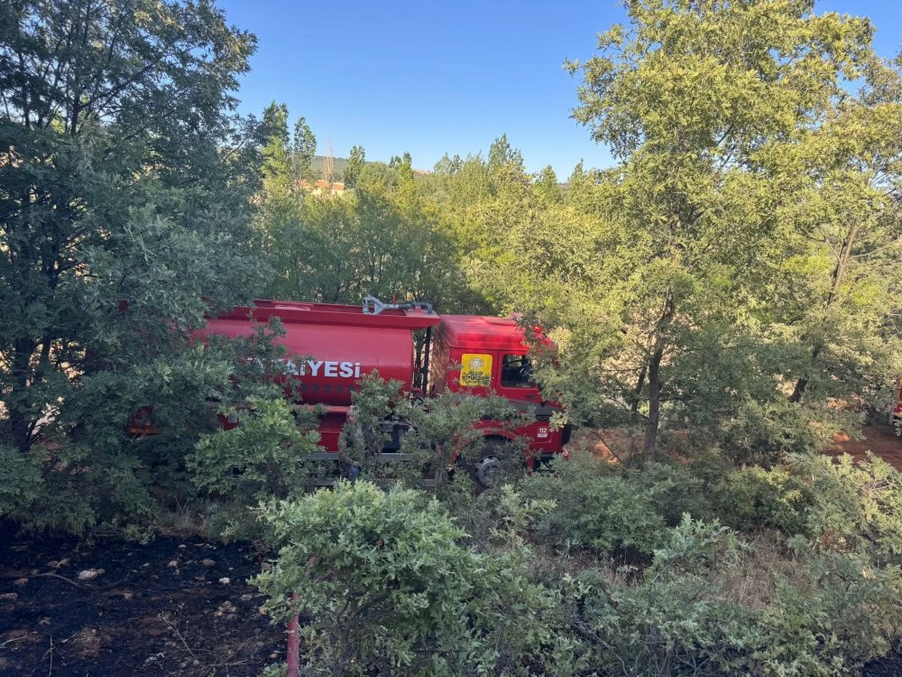 Konya'da ormanlık alanda yangın