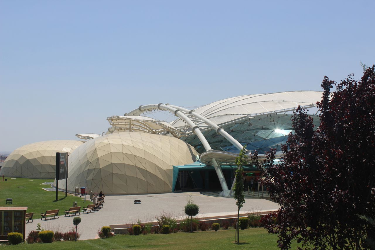 img-4905.jpg