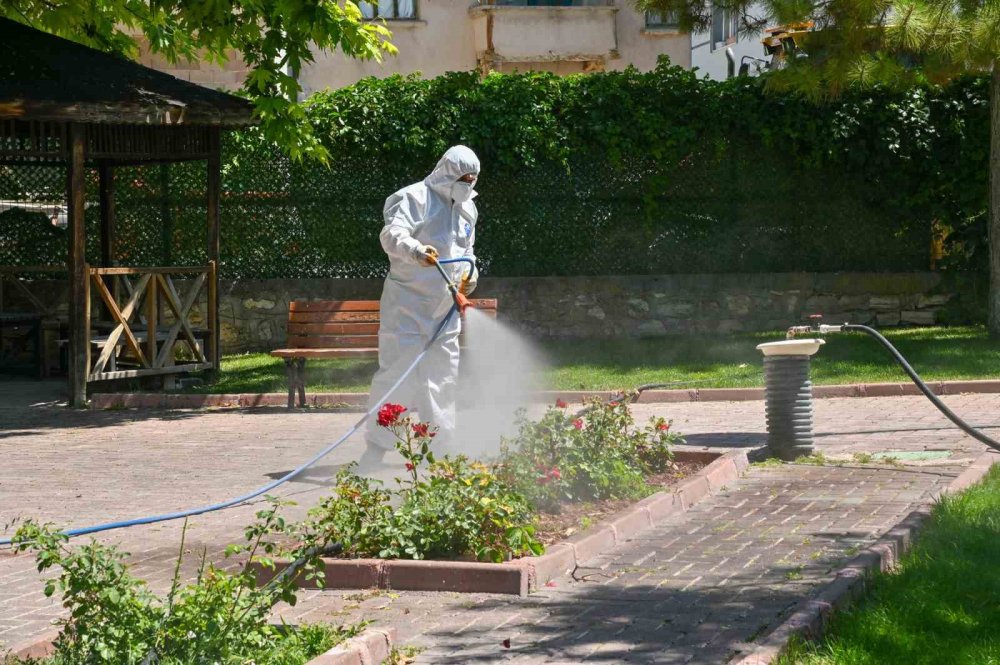 Konya'da haşere mücadelesi devam ediyor