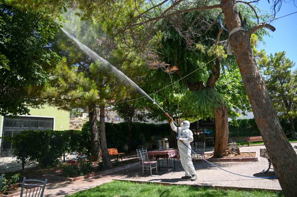 Konya'da haşere mücadelesi devam ediyor