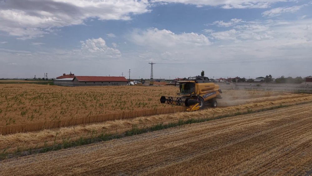 Türkiye'nin tahıl ambarı Konya Ovası’nda beklenen rekolte açıklandı