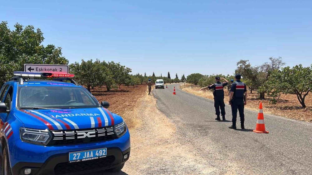 Jandarma ekipleri ’yeşil altın’ için nöbette