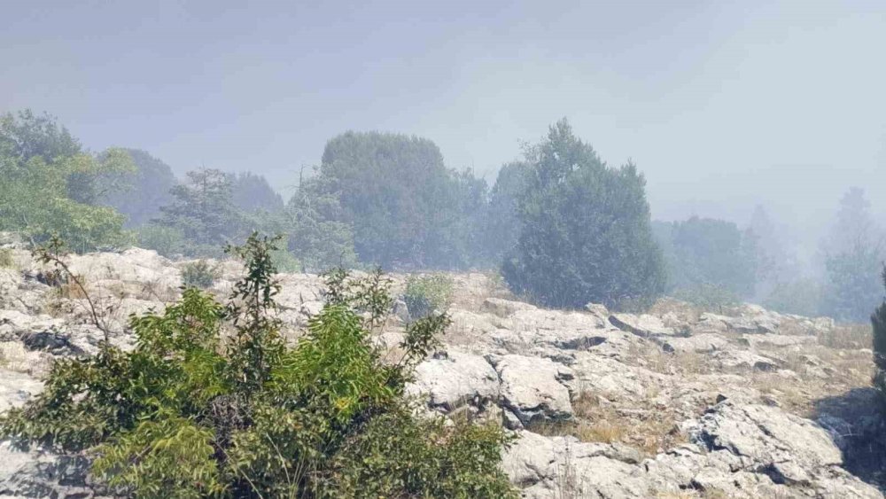 Konya'da çöplükte başlayan yangın ormana sıçradı