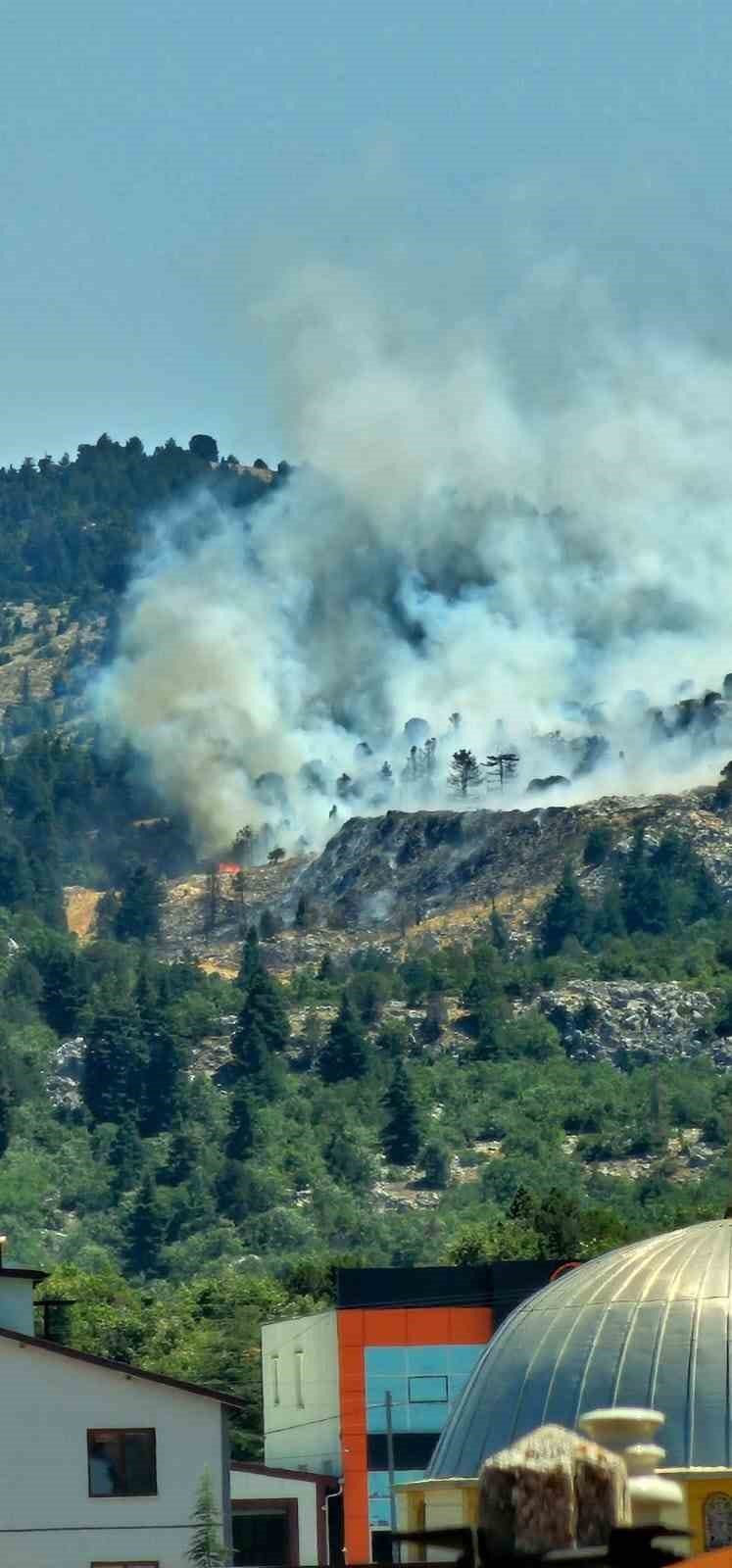 Konya'da çöplükte başlayan yangın ormana sıçradı