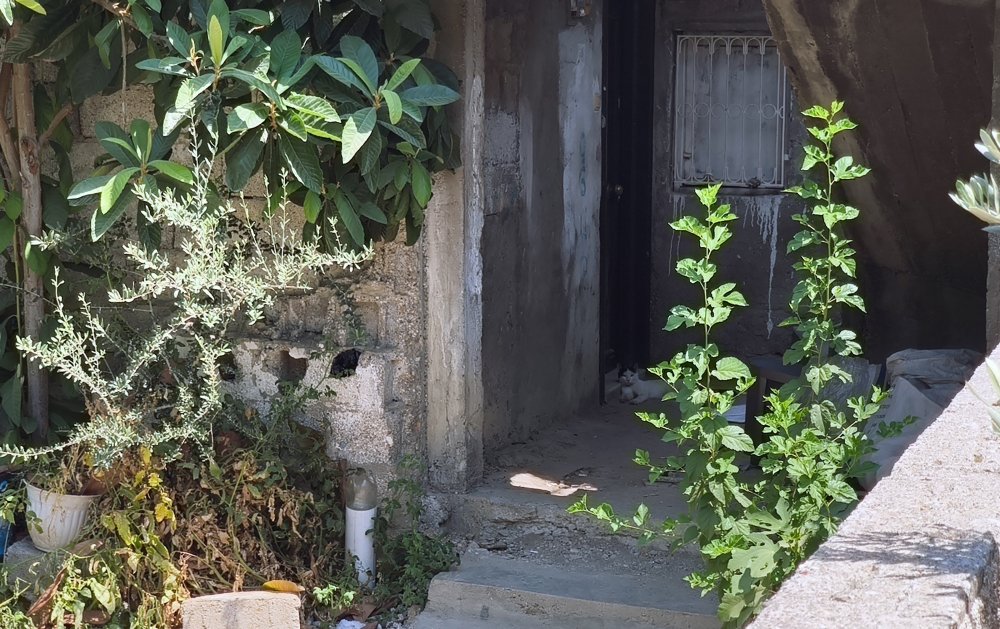 Para vermeyen annesini sopayla döverek öldürdü