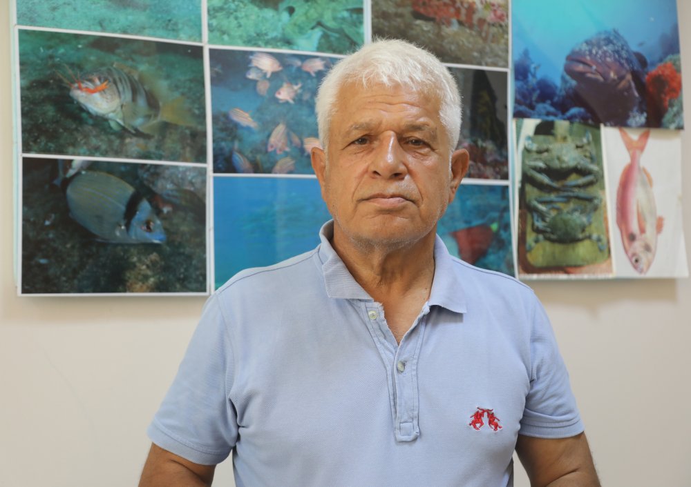 Akdeniz tropikalleşiyor... Sayı 72'ye ulaştı